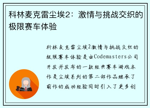 科林麦克雷尘埃2：激情与挑战交织的极限赛车体验
