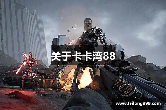 关于卡卡湾88